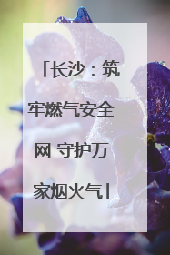 长沙：筑牢燃气安全网 守护万家烟火气