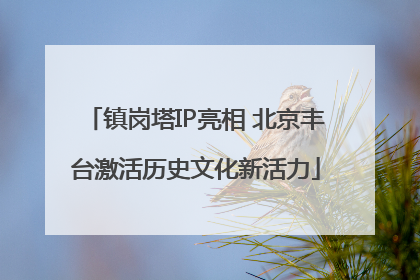 镇岗塔IP亮相 北京丰台激活历史文化新活力