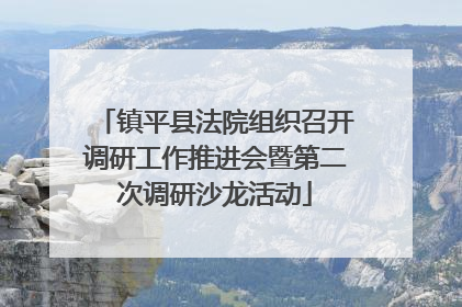 镇平县法院组织召开调研工作推进会暨第二次调研沙龙活动