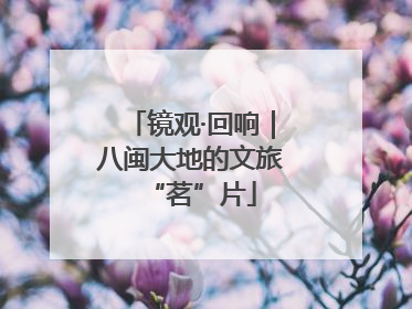 镜观·回响｜八闽大地的文旅“茗”片