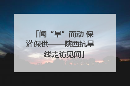闻“旱”而动 保灌保供——陕西抗旱一线走访见闻