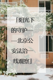 阳光下的守护——北京公安法治一线观察