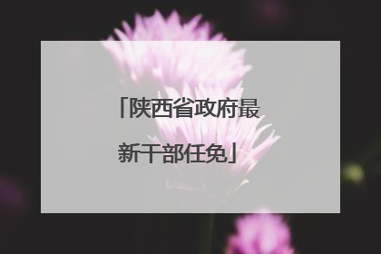 陕西省政府最新干部任免