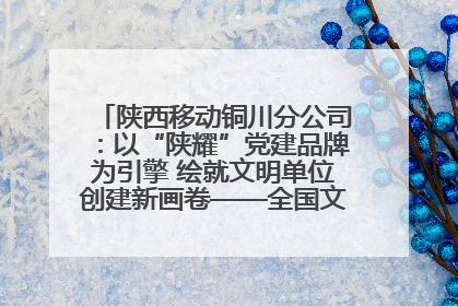 陕西移动铜川分公司：以“陕耀”党建品牌为引擎 绘就文明单位创建新画卷——全国文明单位创建纪实