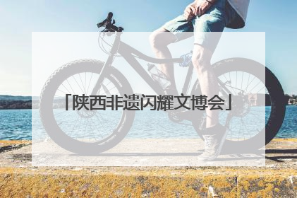 陕西非遗闪耀文博会