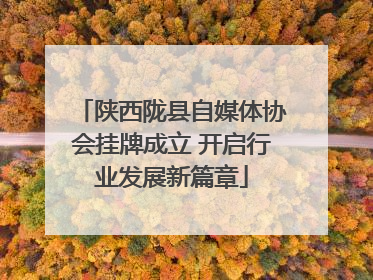 陕西陇县自媒体协会挂牌成立 开启行业发展新篇章