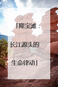 隆宝滩：长江源头的生命律动