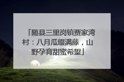随县三里岗镇贾家湾村：八月瓜缀满藤，山野孕育甜蜜希望