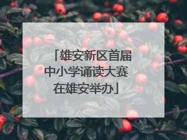 雄安新区首届中小学诵读大赛在雄安举办