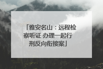 雅安名山：远程检察听证 办理一起行刑反向衔接案