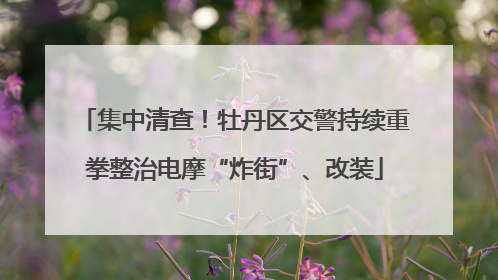 集中清查！牡丹区交警持续重拳整治电摩“炸街”、改装