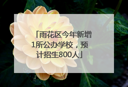 雨花区今年新增1所公办学校，预计招生800人