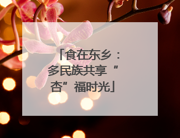 食在东乡：多民族共享“杏”福时光