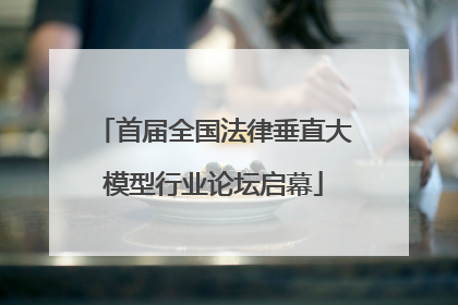 首届全国法律垂直大模型行业论坛启幕