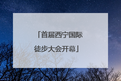 首届西宁国际徒步大会开幕