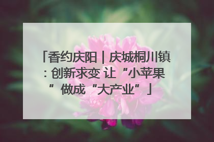 香约庆阳｜庆城桐川镇：创新求变 让“小苹果”做成“大产业”