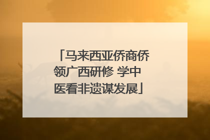 马来西亚侨商侨领广西研修 学中医看非遗谋发展