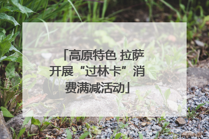 高原特色 拉萨开展“过林卡”消费满减活动