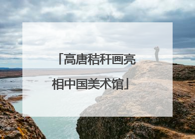 高唐秸秆画亮相中国美术馆