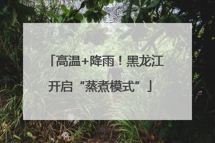 高温+降雨！黑龙江开启“蒸煮模式”