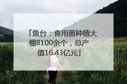鱼台：食用菌种植大棚8100余个，总产值16.43亿元