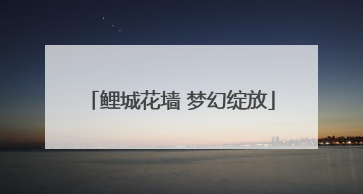 鲤城花墙 梦幻绽放