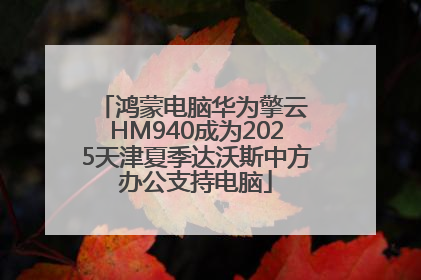 鸿蒙电脑华为擎云 HM940成为2025天津夏季达沃斯中方办公支持电脑