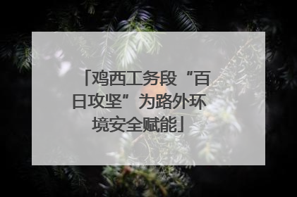 鸡西工务段“百日攻坚”为路外环境安全赋能