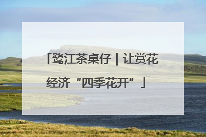 鹭江茶桌仔｜让赏花经济“四季花开”