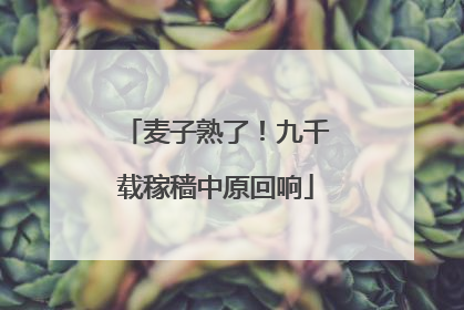 麦子熟了！九千载稼穑中原回响