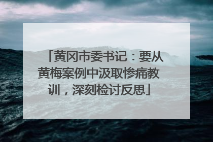 黄冈市委书记：要从黄梅案例中汲取惨痛教训，深刻检讨反思