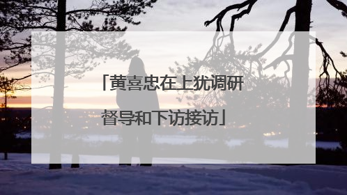 黄喜忠在上犹调研督导和下访接访