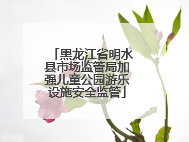 黑龙江省明水县市场监管局加强儿童公园游乐设施安全监管