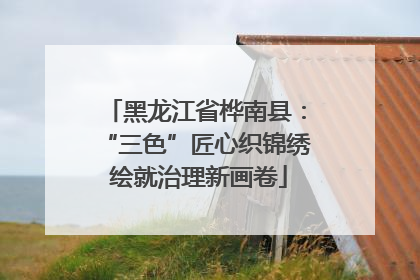 黑龙江省桦南县：“三色”匠心织锦绣 绘就治理新画卷