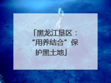 黑龙江垦区：“用养结合”保护黑土地