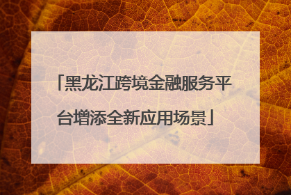 黑龙江跨境金融服务平台增添全新应用场景