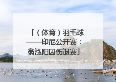 （体育）羽毛球——印尼公开赛：翁泓阳因伤退赛