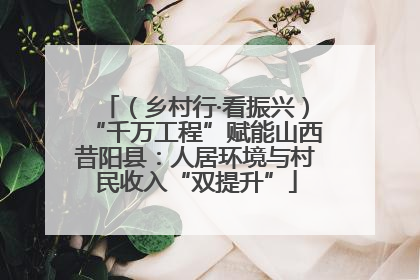 （乡村行·看振兴）“千万工程”赋能山西昔阳县：人居环境与村民收入“双提升”