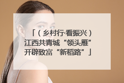 （乡村行·看振兴）江西共青城“领头雁”开辟致富“新稻路”