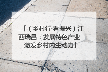 （乡村行·看振兴）江西瑞昌：发展特色产业 激发乡村内生动力