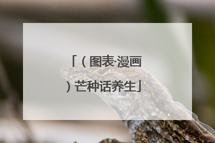 （图表·漫画）芒种话养生
