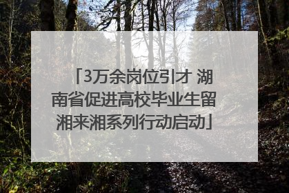 3万余岗位引才 湖南省促进高校毕业生留湘来湘系列行动启动