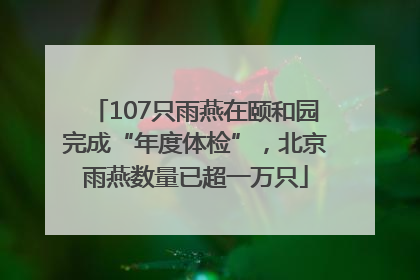 107只雨燕在颐和园完成“年度体检”，北京雨燕数量已超一万只