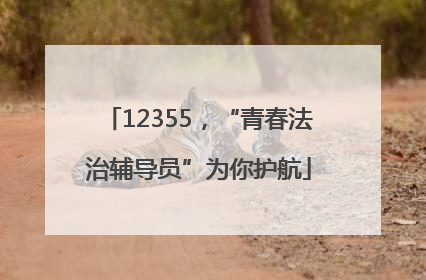 12355，“青春法治辅导员”为你护航