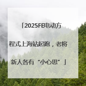 2025FE电动方程式上海站起跑，老将新人各有“小心思”