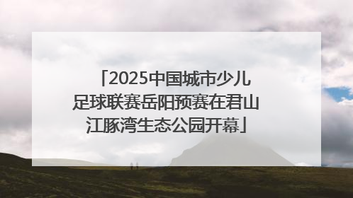 2025中国城市少儿足球联赛岳阳预赛在君山江豚湾生态公园开幕
