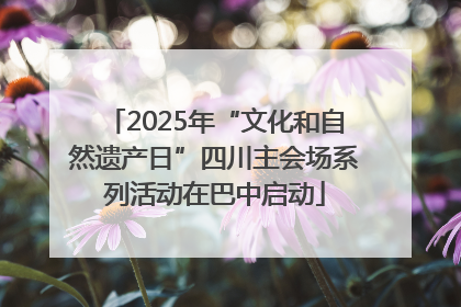 2025年“文化和自然遗产日”四川主会场系列活动在巴中启动
