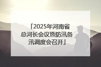 2025年河南省总河长会议暨防汛备汛调度会召开
