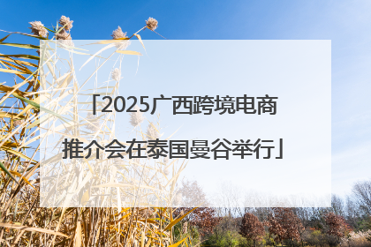 2025广西跨境电商推介会在泰国曼谷举行