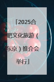 2025合肥文化旅游（东京）推介会举行